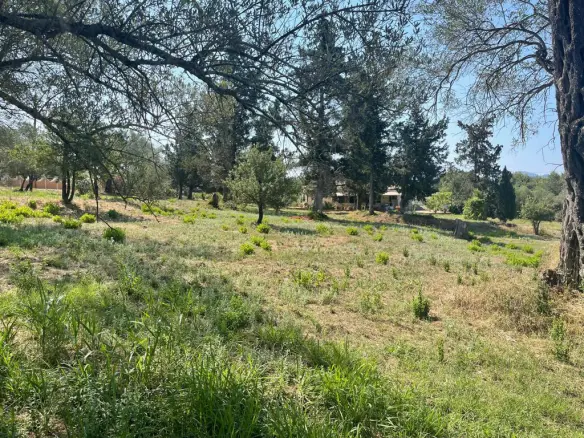 Land In Corfu, Greece