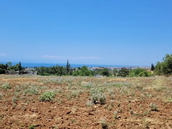 Land In Panorama, Greece