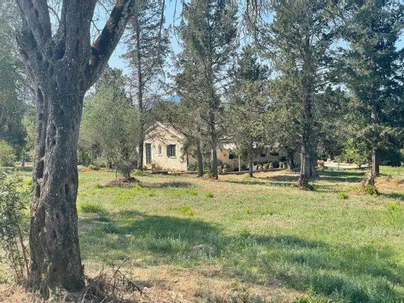 Land In Corfu, Greece