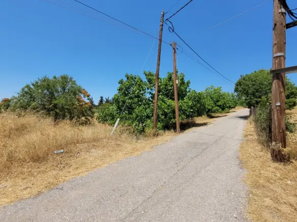 Land In Panorama, Greece