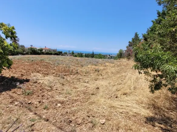 Land In Panorama, Greece