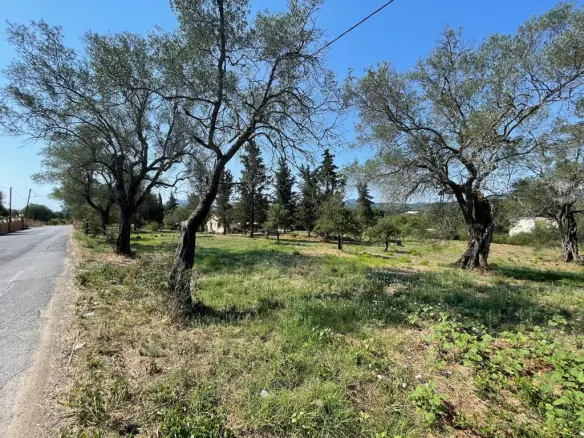 Land In Corfu, Greece