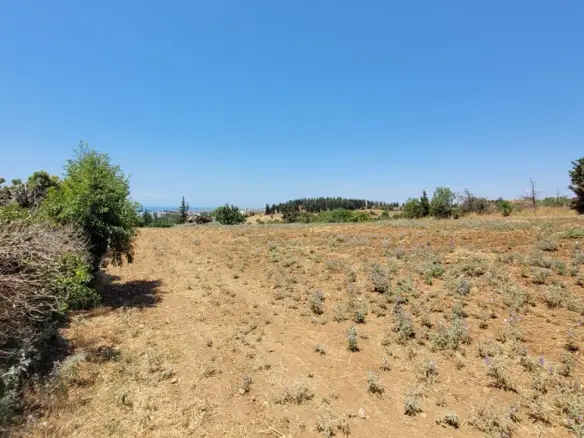 Land In Panorama, Greece