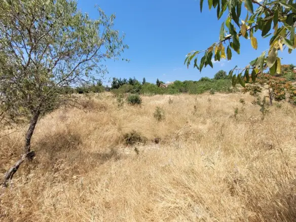 Land In Panorama, Greece