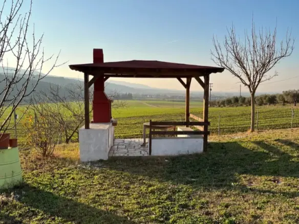 Detached House In Poligiros, Greece (350 M²)