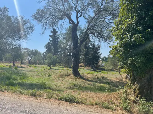 Land In Corfu, Greece
