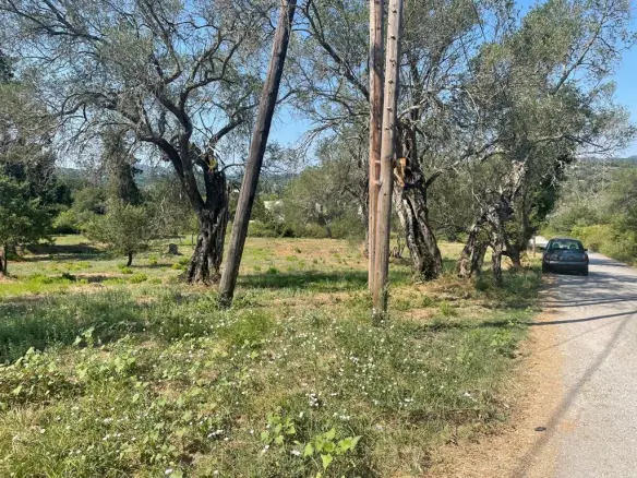 Land In Corfu, Greece