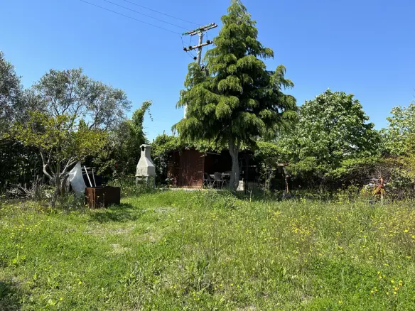 Land In Pidna, Greece
