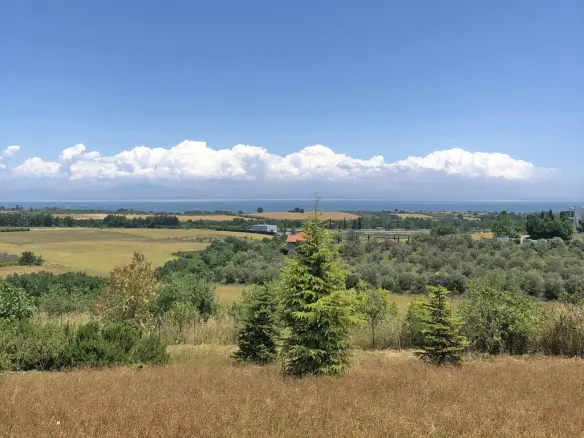 Land In Pidna, Greece