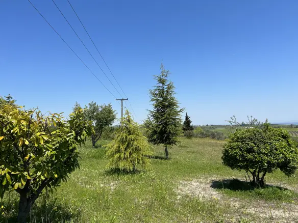 Land In Pidna, Greece