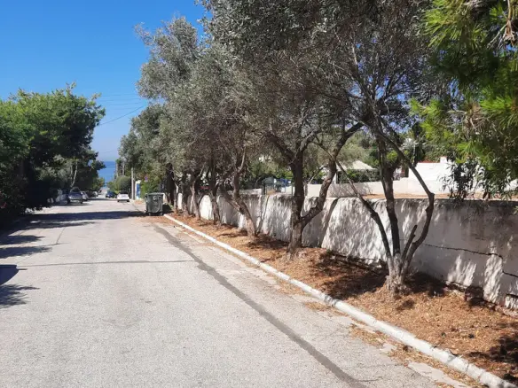Land In Saronida, Greece