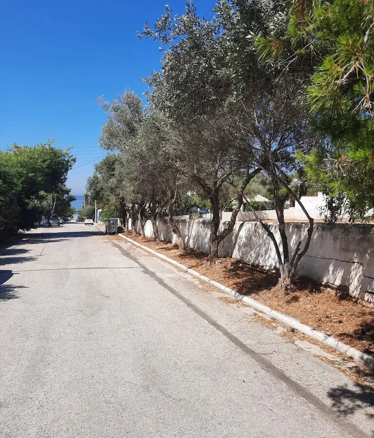 Land In Saronida, Greece