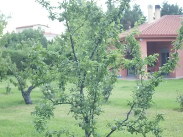 4-bedroom Detached House In Kamena Vourla, Greece (170 M²)