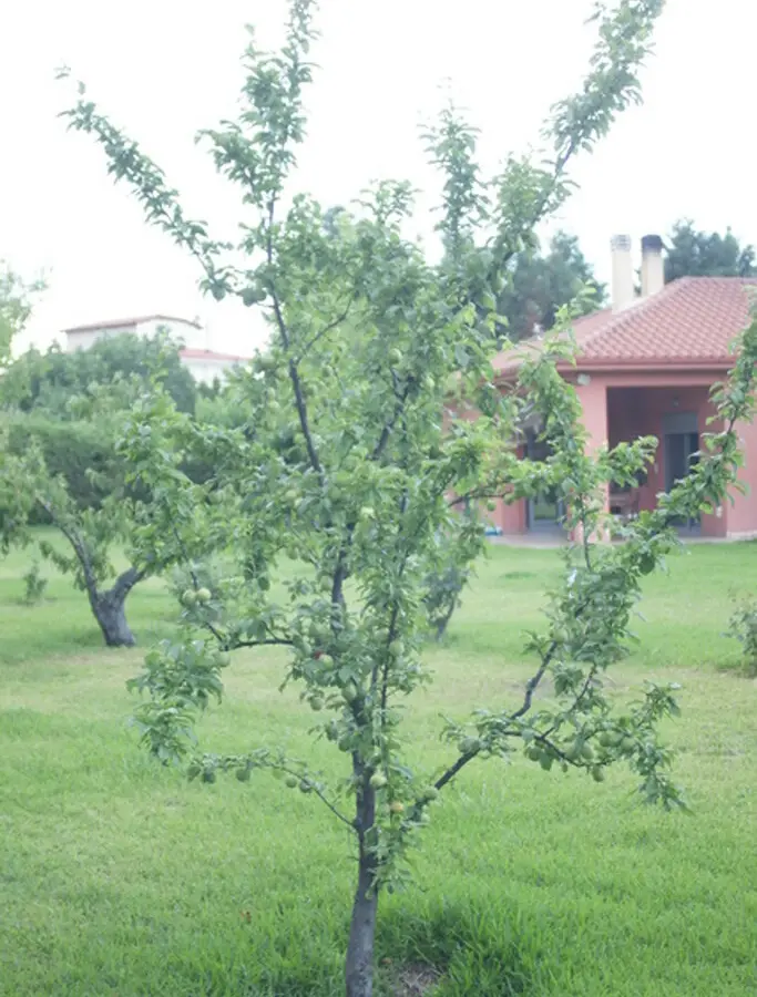 4-bedroom Detached House In Kamena Vourla, Greece (170 M²)