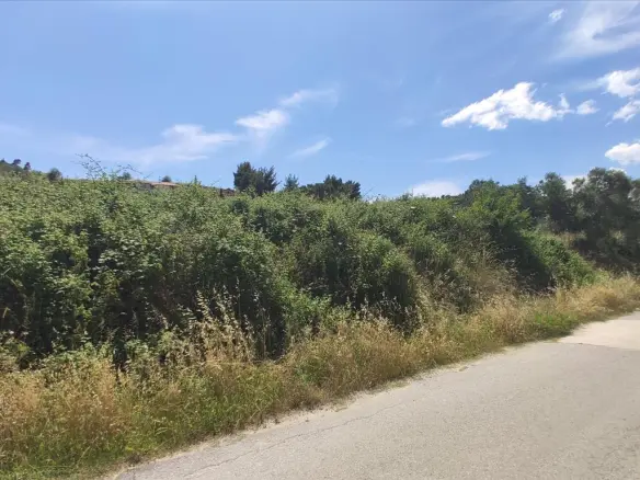 Land In Sithonia, Greece