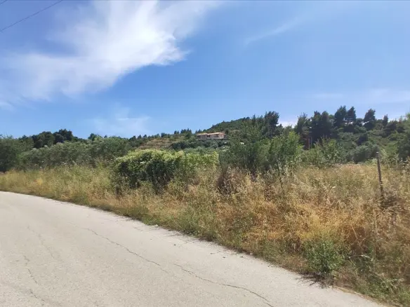 Land In Sithonia, Greece