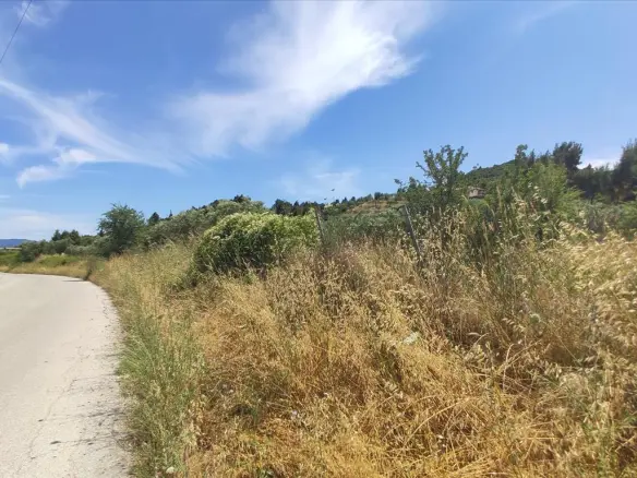 Land In Sithonia, Greece
