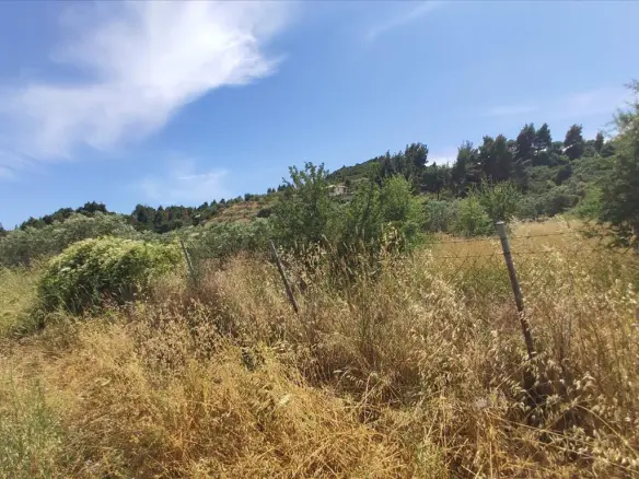 Land In Sithonia, Greece