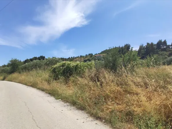 Land In Sithonia, Greece
