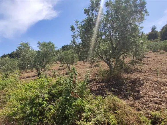 Land In Sithonia, Greece