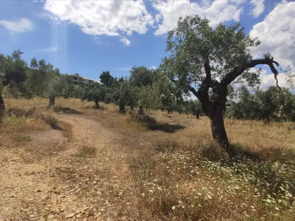 Land In Sithonia, Greece