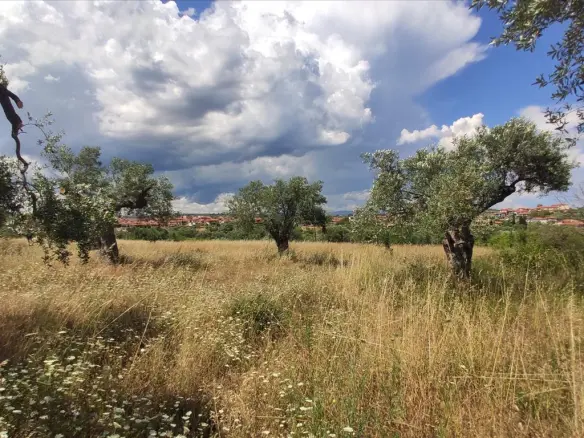 Land In Sithonia, Greece