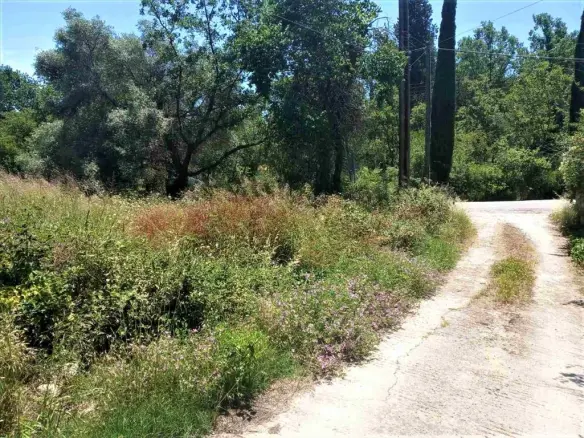 Land In Corfu, Greece