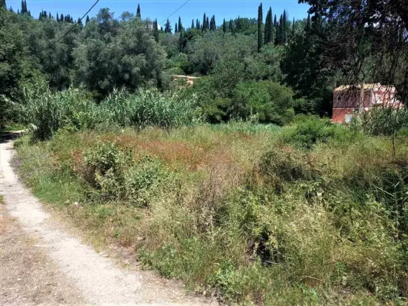 Land In Corfu, Greece