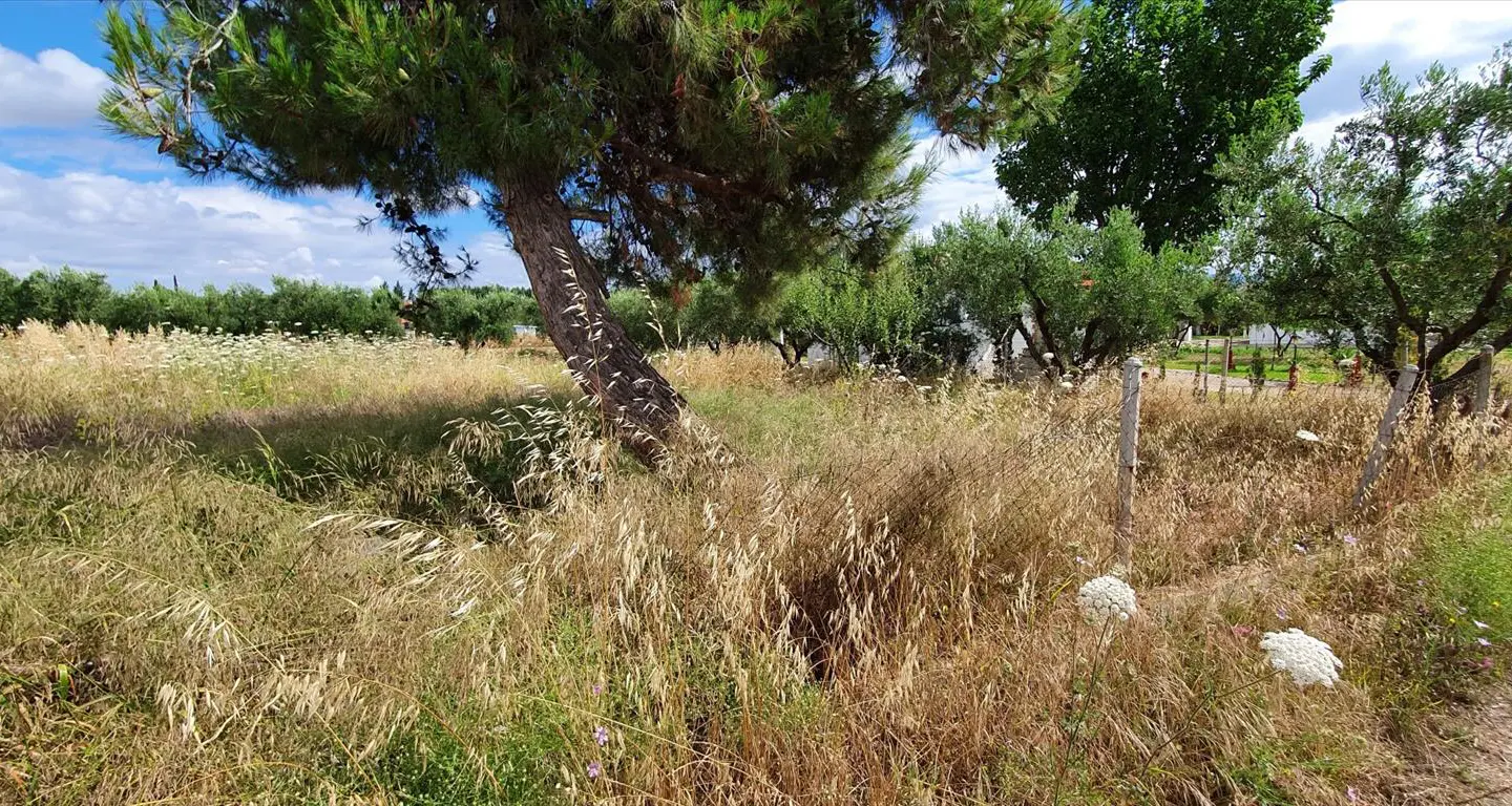 Land In Kassandra, Greece