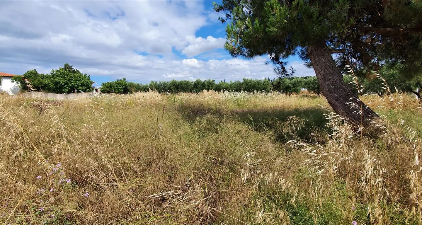Land In Kassandra, Greece