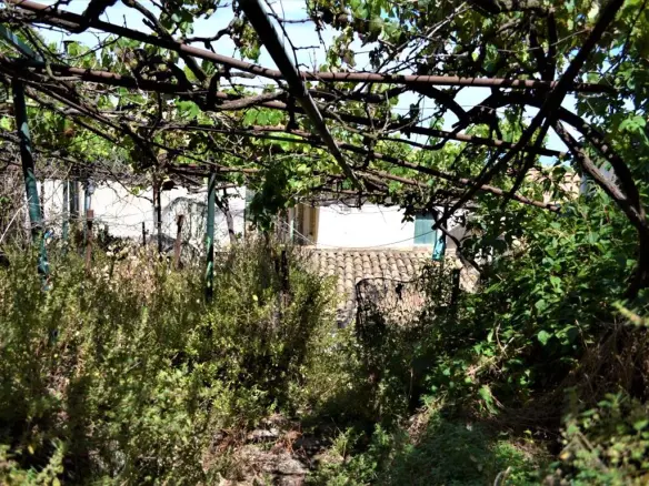 Detached House In Corfu, Greece (75 M²)