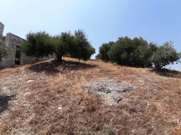 Land In Gazi, Greece