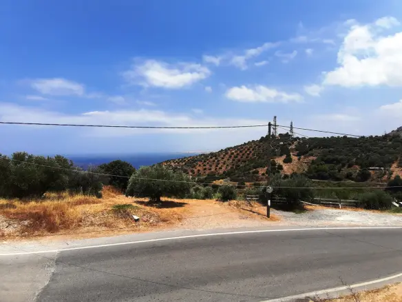 Land In Gazi, Greece