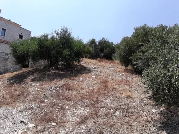 Land In Gazi, Greece
