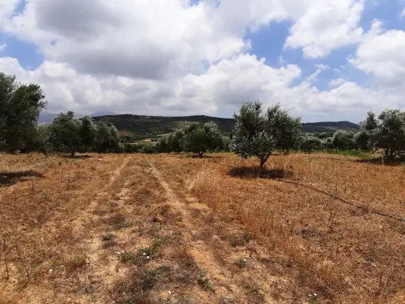 Land In Arkalochori, Greece