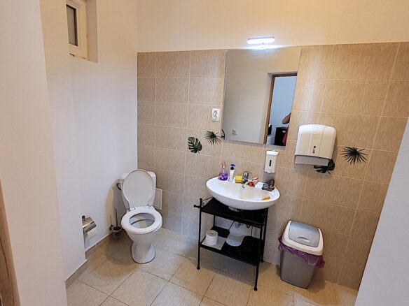 Villa With Restaurant On The Ground Floor Grădina Icoanei