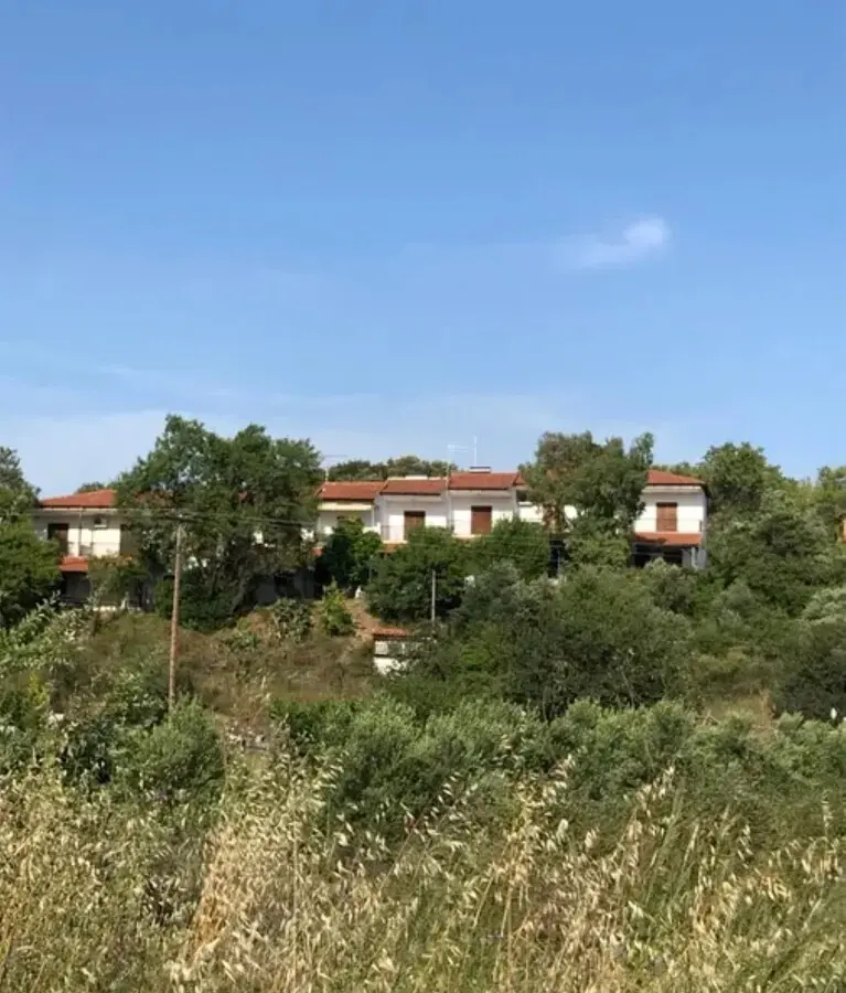 1-bedroom Flat In Aristotle, Greece (35 M²)