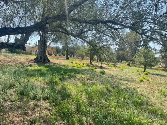 Land In Corfu, Greece