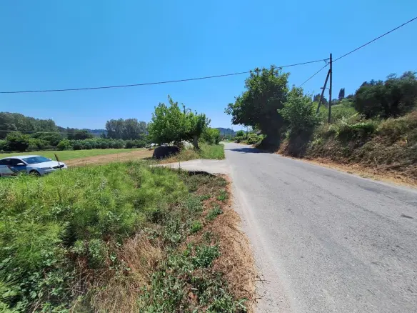 Land In Corfu, Greece