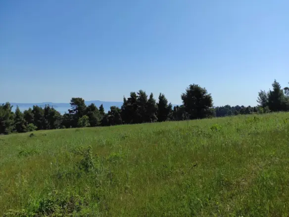 Land In Kassandra, Greece