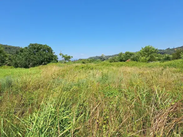 Land In Corfu, Greece