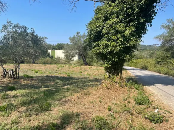 Land In Corfu, Greece