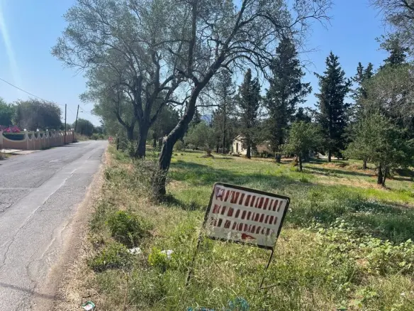 Land In Corfu, Greece