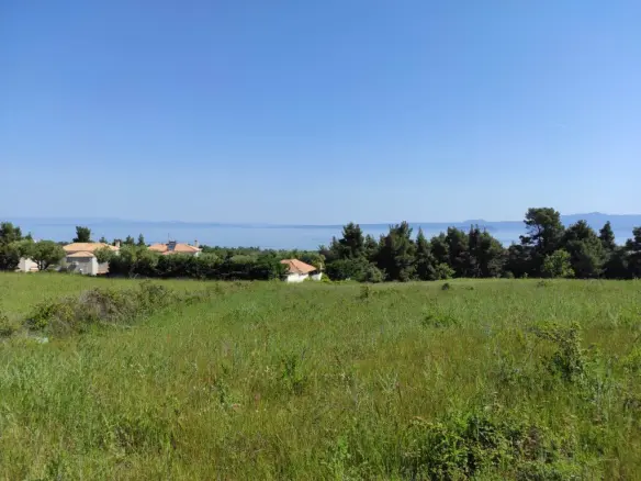 Land In Kassandra, Greece
