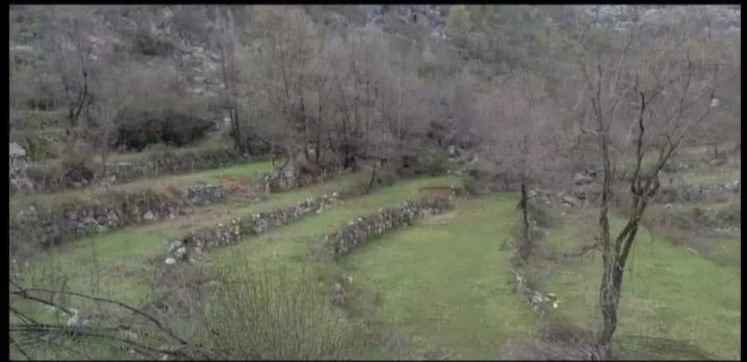Montenegro, Urbanised Land For Sale 19.185m2