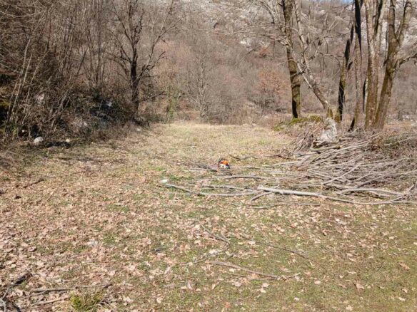 Montenegro, Urbanised Land For Sale 19.185m2