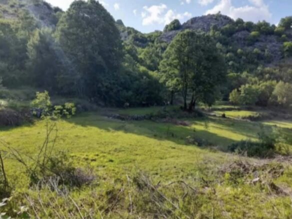 Montenegro, Urbanised Land For Sale 19.185m2