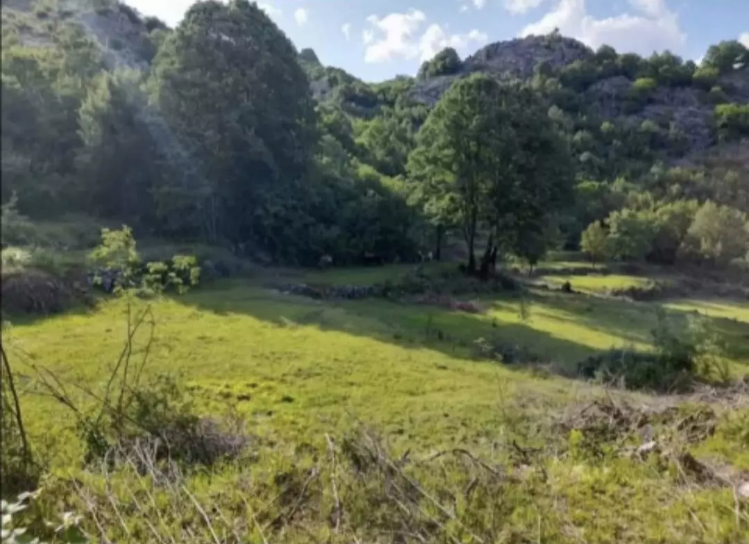 Montenegro, Urbanised Land For Sale 19.185m2