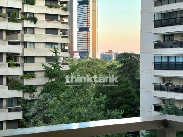 Luxury Flat In Madrid – Parque Norte And Paseo De La Castellana