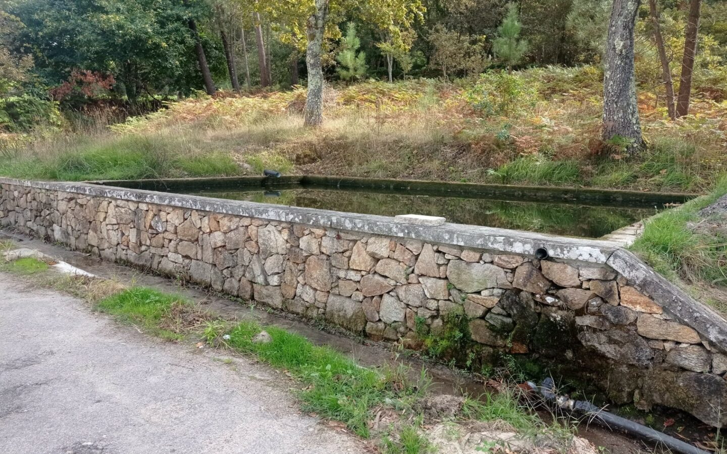 Excelente Quinta Com Alojamento Local -valença – Viana Do Castelo-portugal